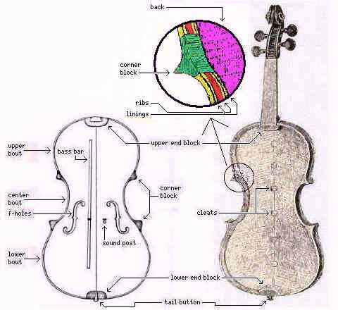 parts of a violin diagram