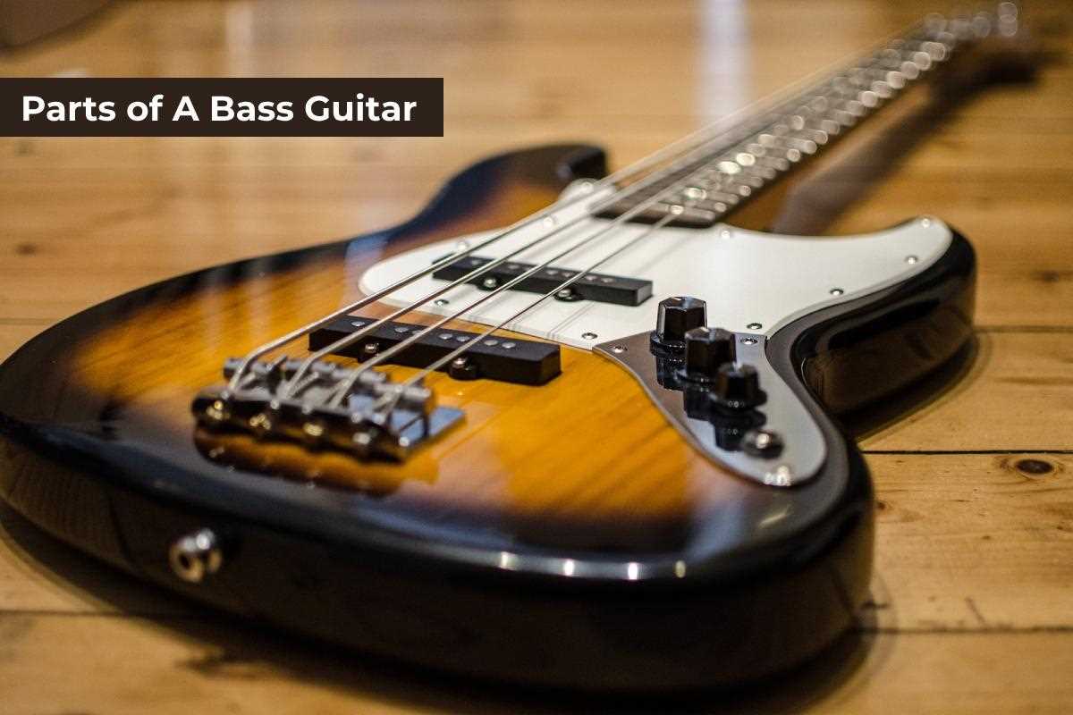 parts of bass guitar diagram