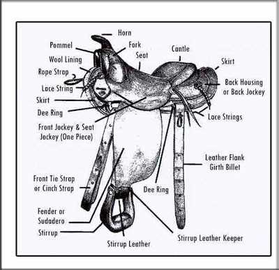 saddle parts western diagram